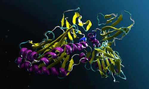 NVIDIA 为用于蛋白质设计的生成式 AI 模型 ESM3 提供支持
